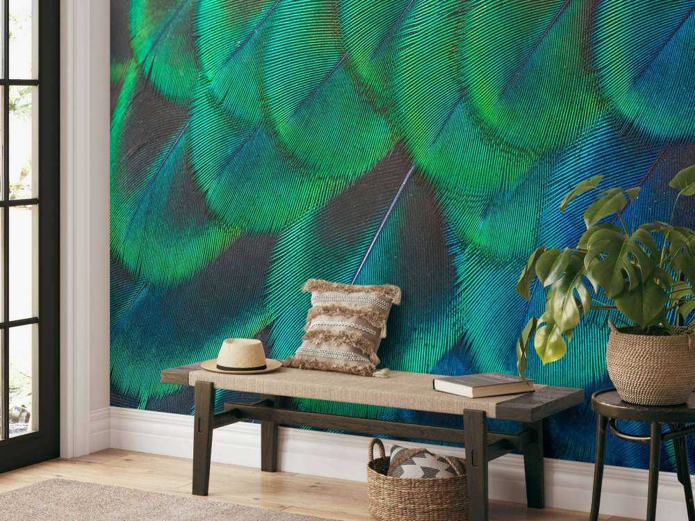 Close-up of peacock feathers