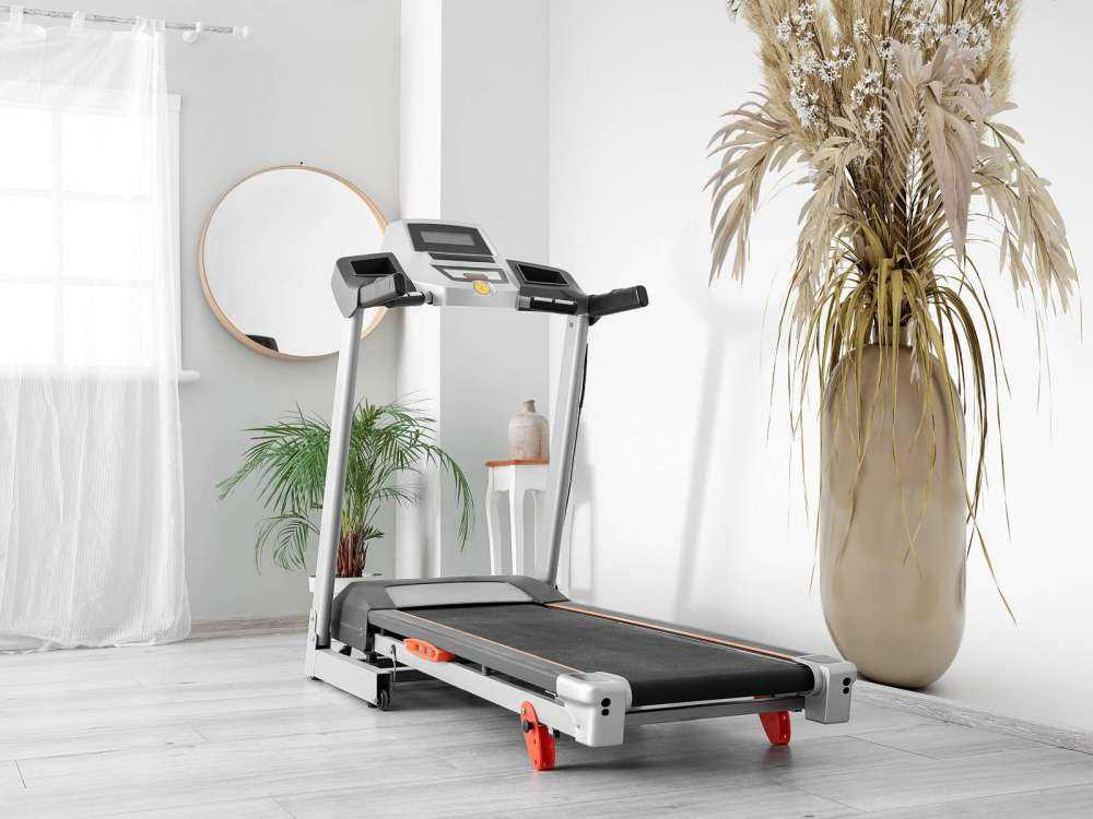 Beige planten in een vaas