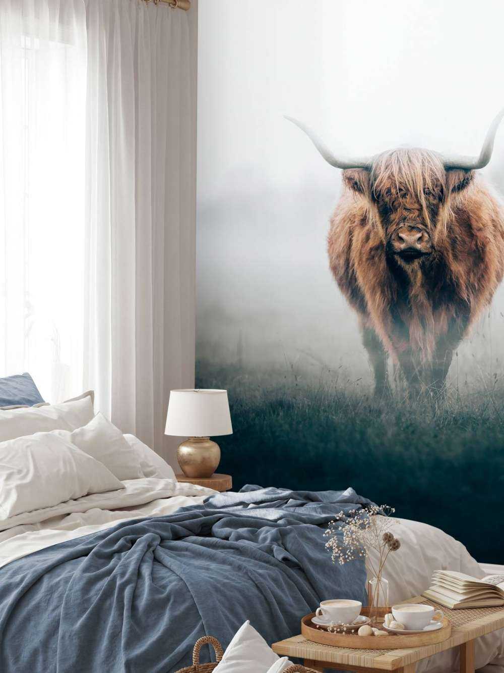 Scottish highlander in dense fog