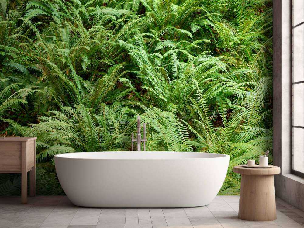 Green ferns