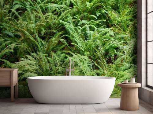 Green ferns