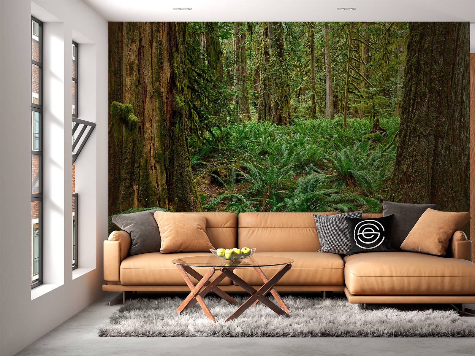 Ferns and trees 