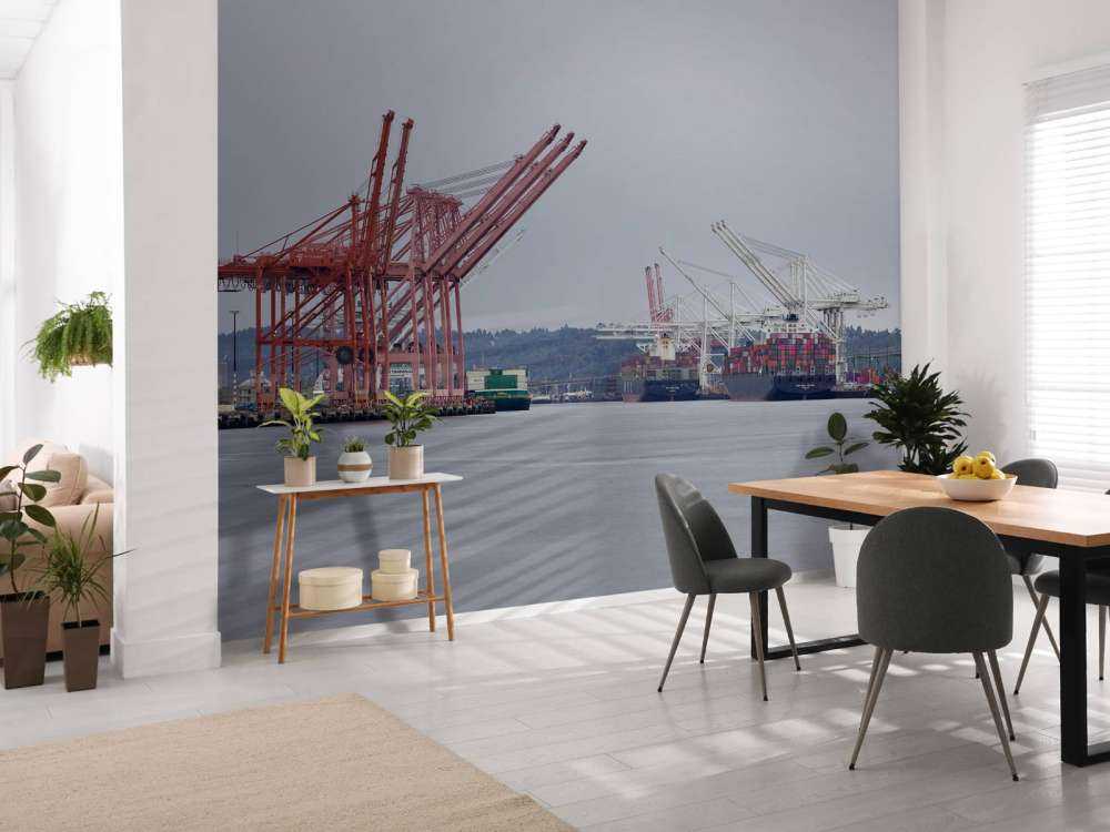 Hijskranen in de haven