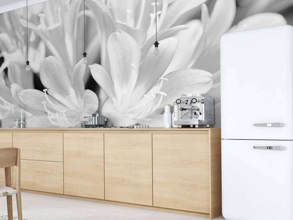 Flowers in bloom, black and white