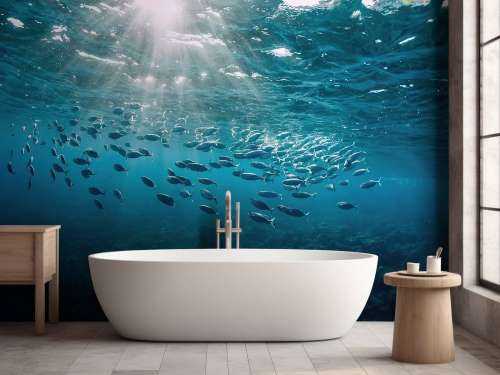 School of fish
