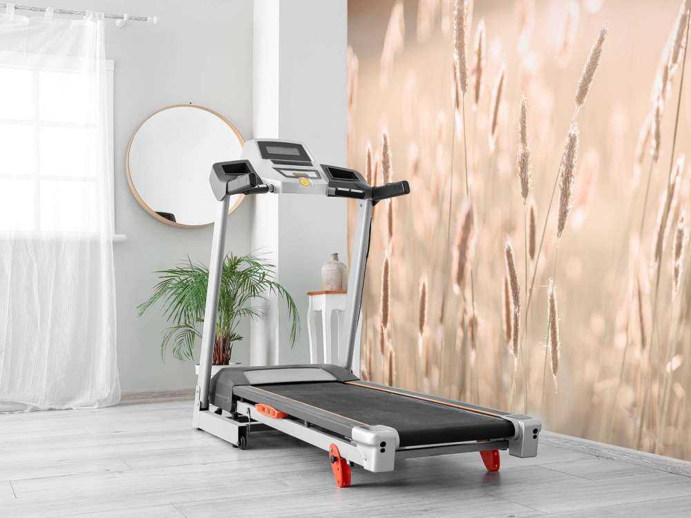 Sunlight through meadow