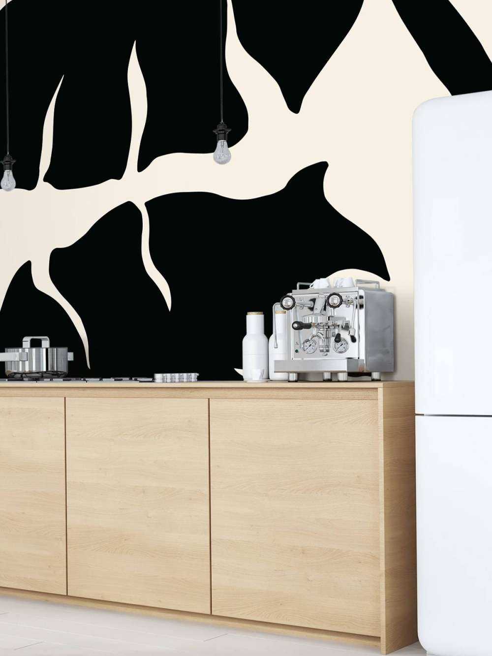 Monstera Black