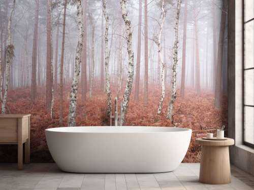 Deserted foggy forest