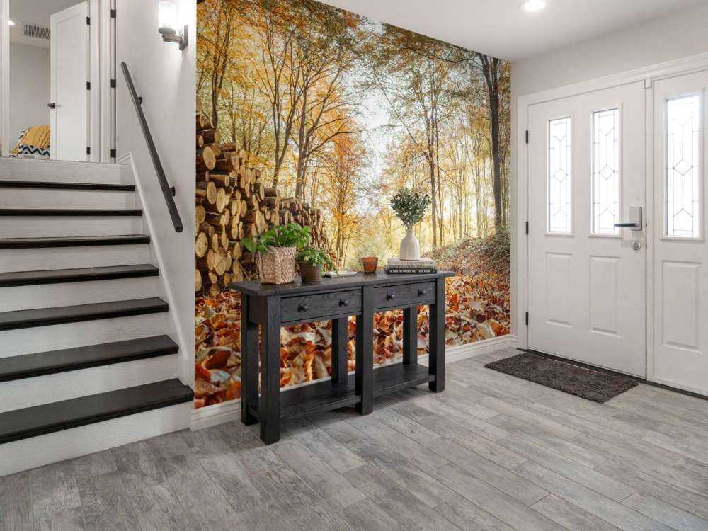 Tree trunks in autumn forest