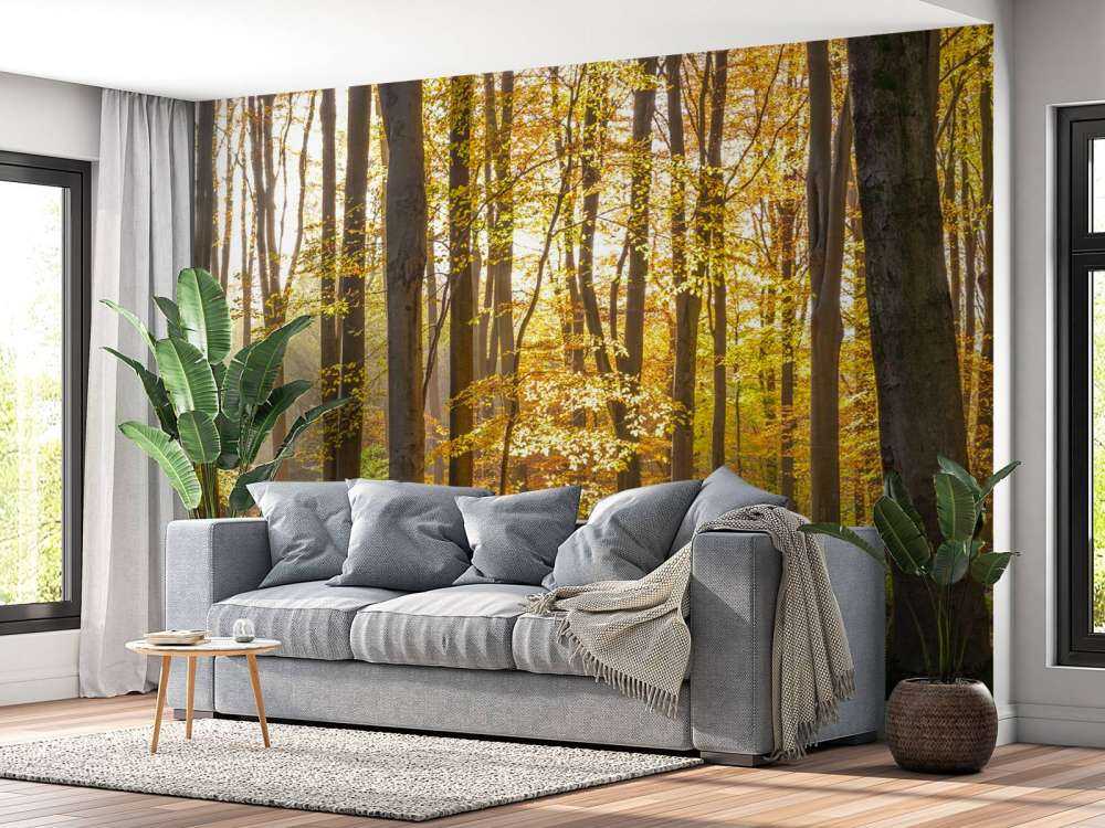 Sunny forest
