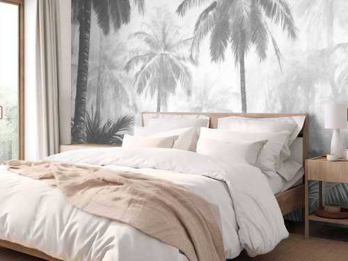 Misty Palm Forest