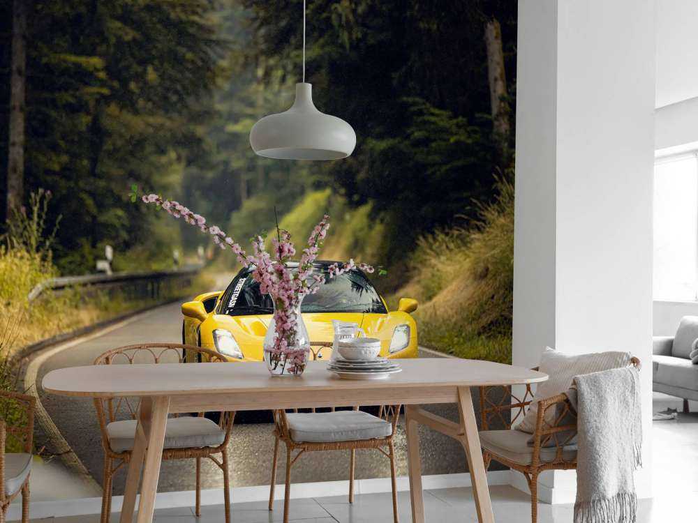 Maserati in the green forest