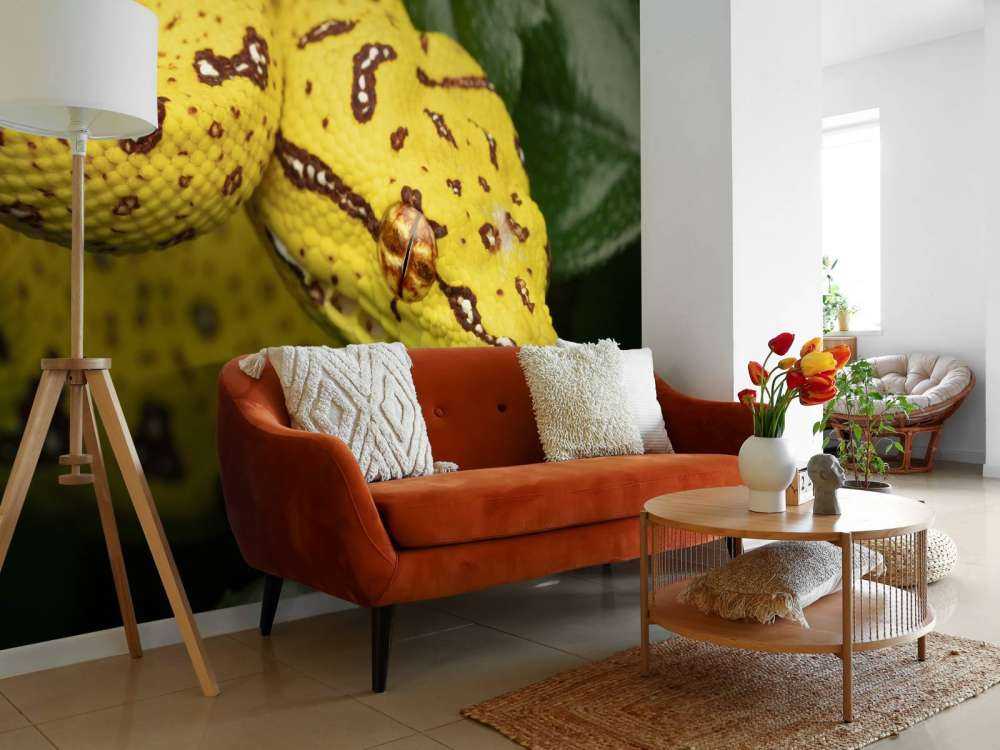 Close-up tree python