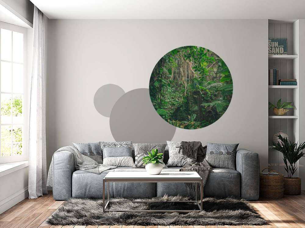 Branches in the rainforest