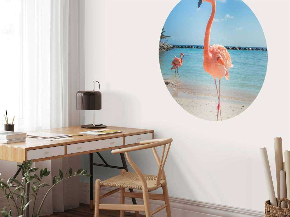 Flamingo on the beach