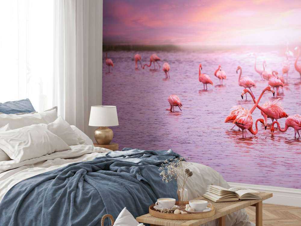 Flamingos with sunset