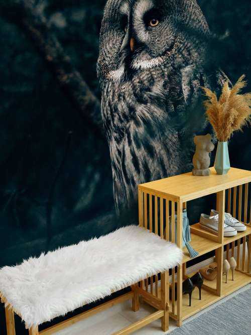Owl in tree