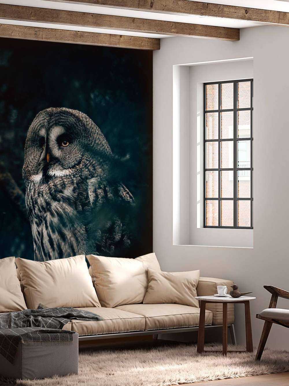 Owl in tree