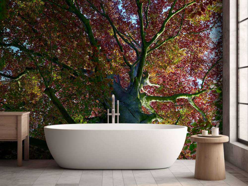 Boom met gekleurde bladeren