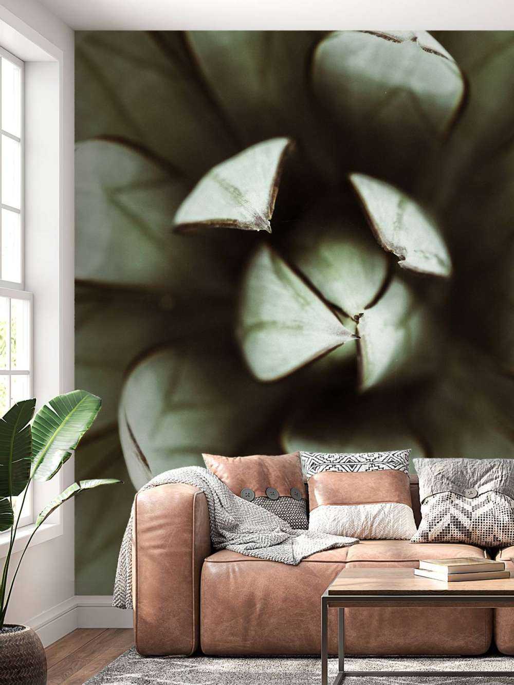 Fat plant