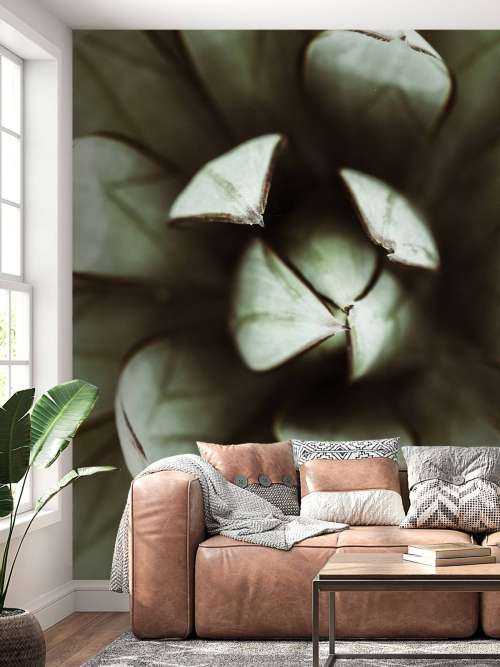 Fat plant