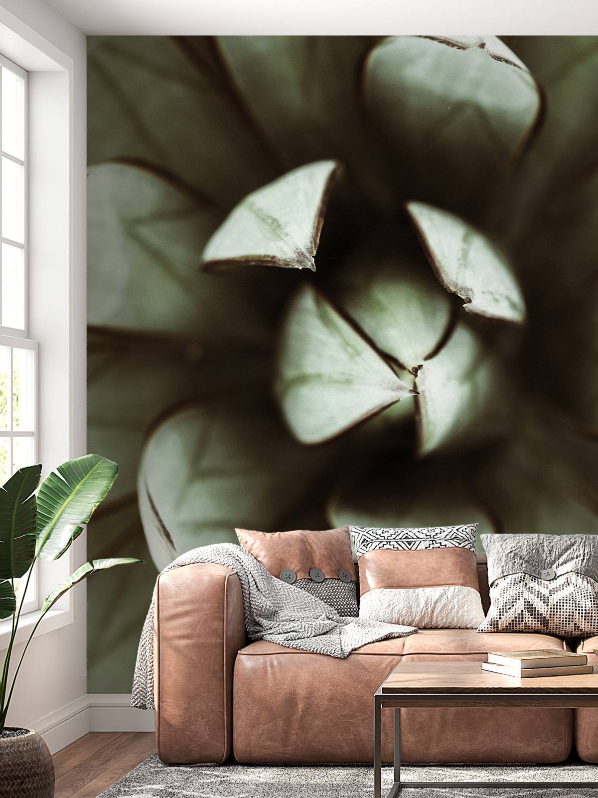 Fat plant