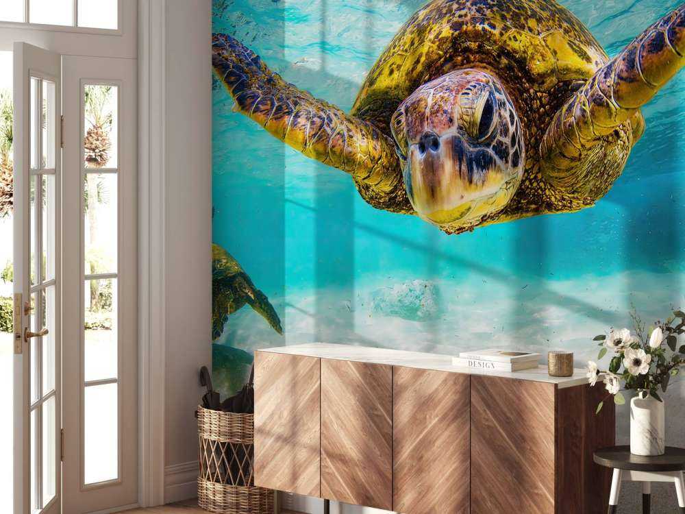 Sea turtle in the ocean