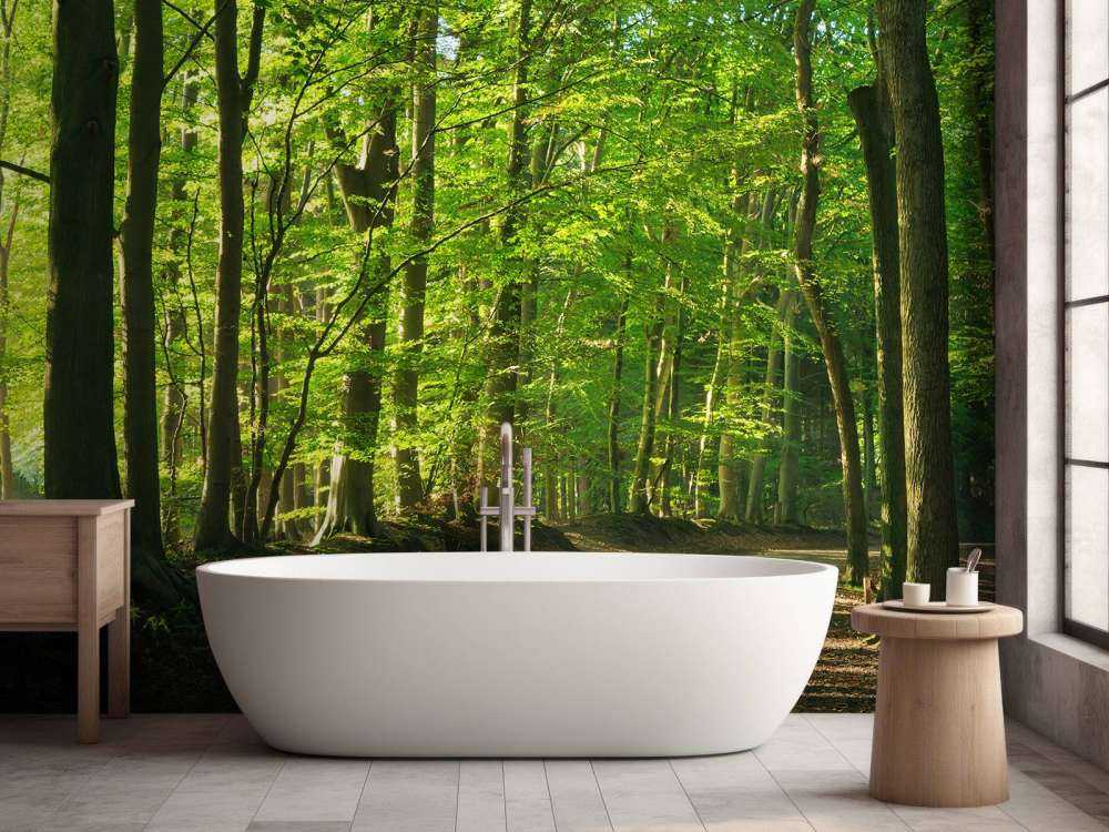 Sunny road through a forest