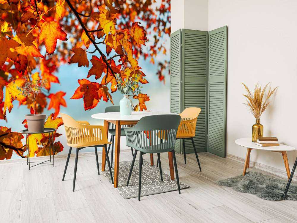 Autumn leaves