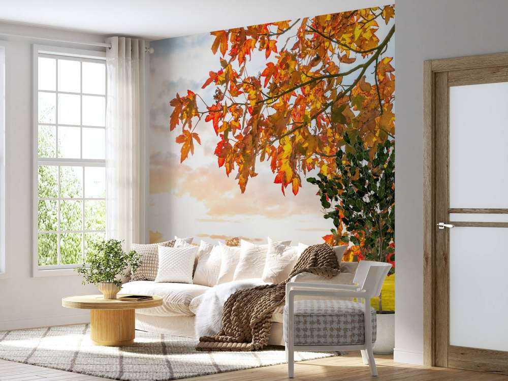 Autumn tree at sunset