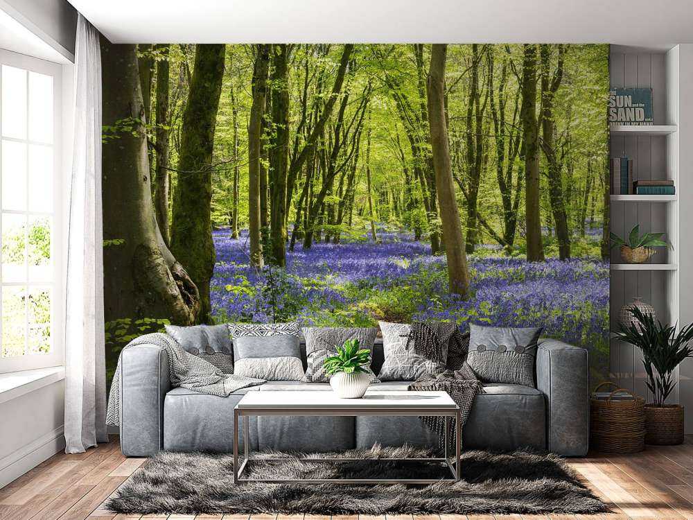 Forest in the sunlight