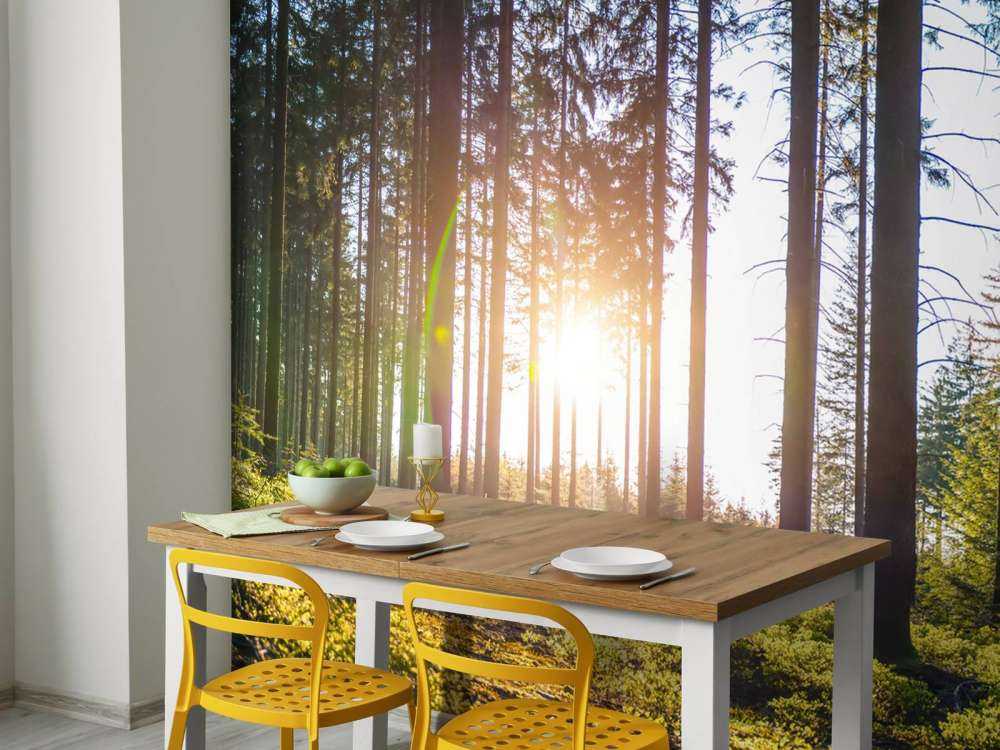 Spring forest