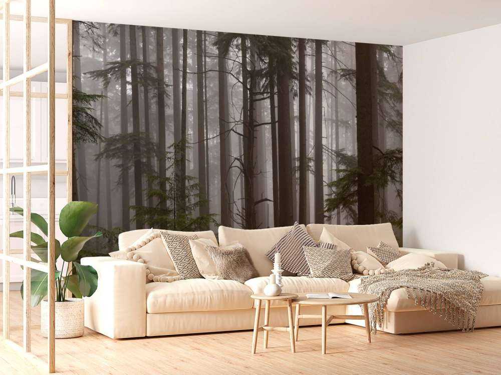 Forest during a foggy day