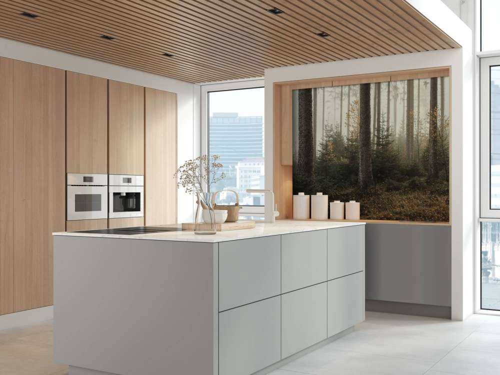 The Kaufunger forest