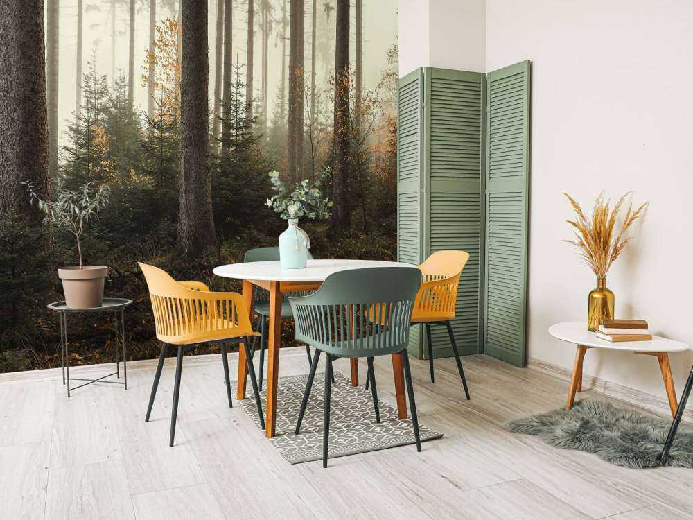 The Kaufunger forest