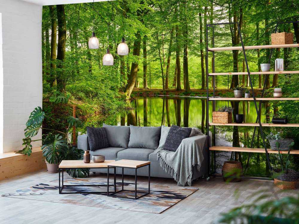 Reflection of trees in water