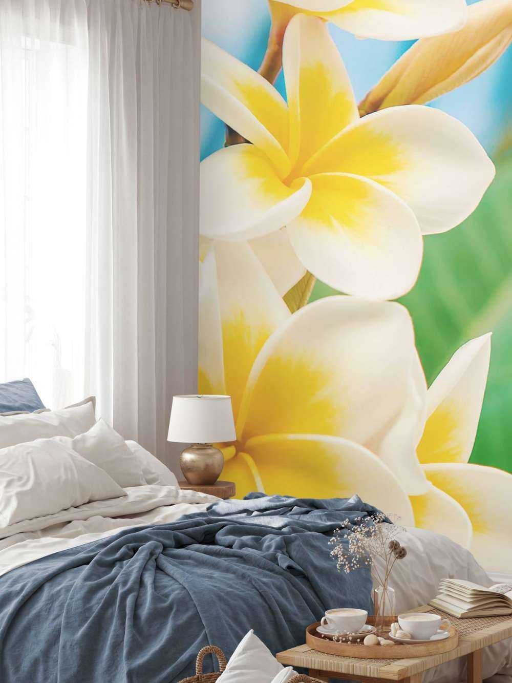 White Yellow Plumeria Flower