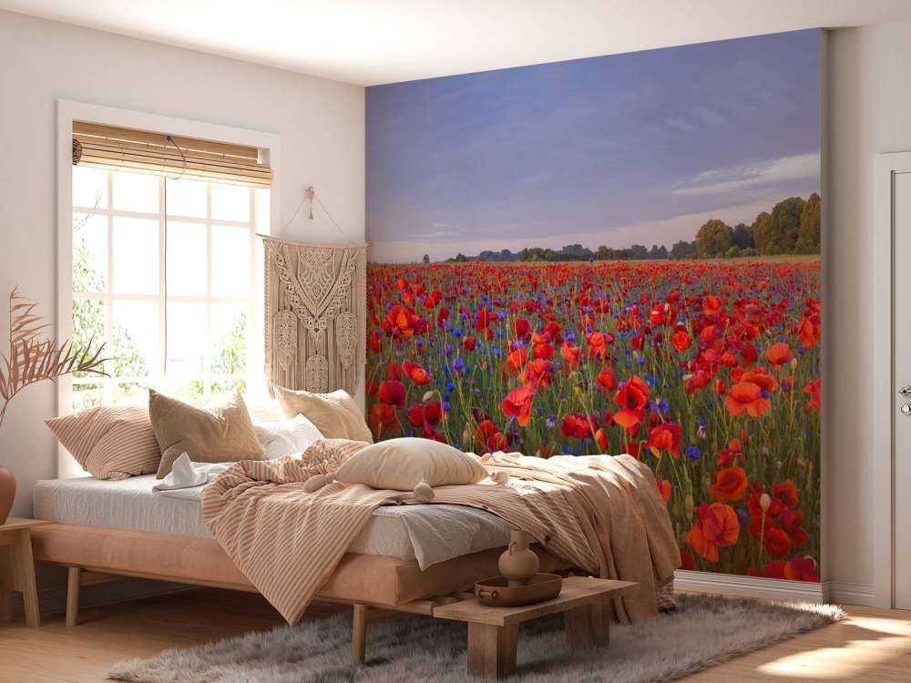 Blue flowers and red Poppies