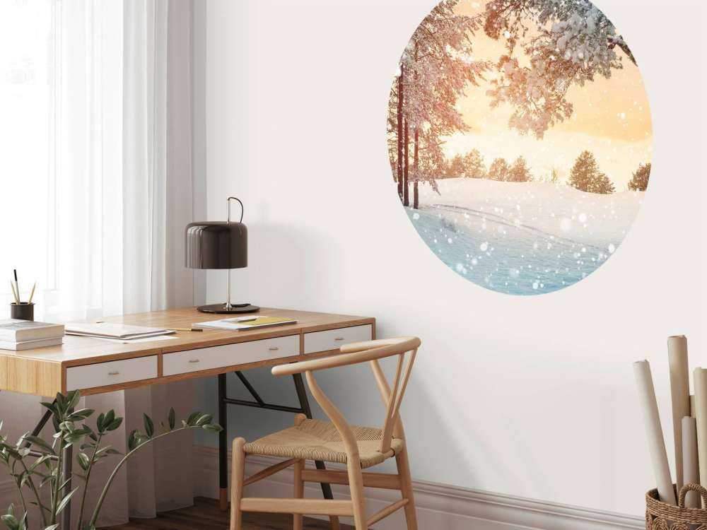 Pine trees with snow