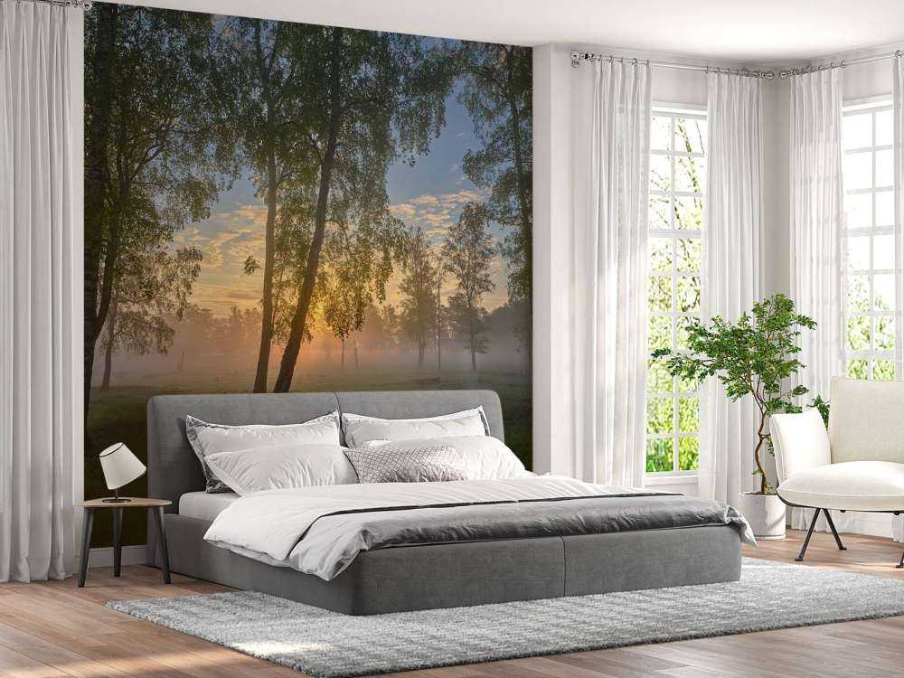Sunrise by the birches