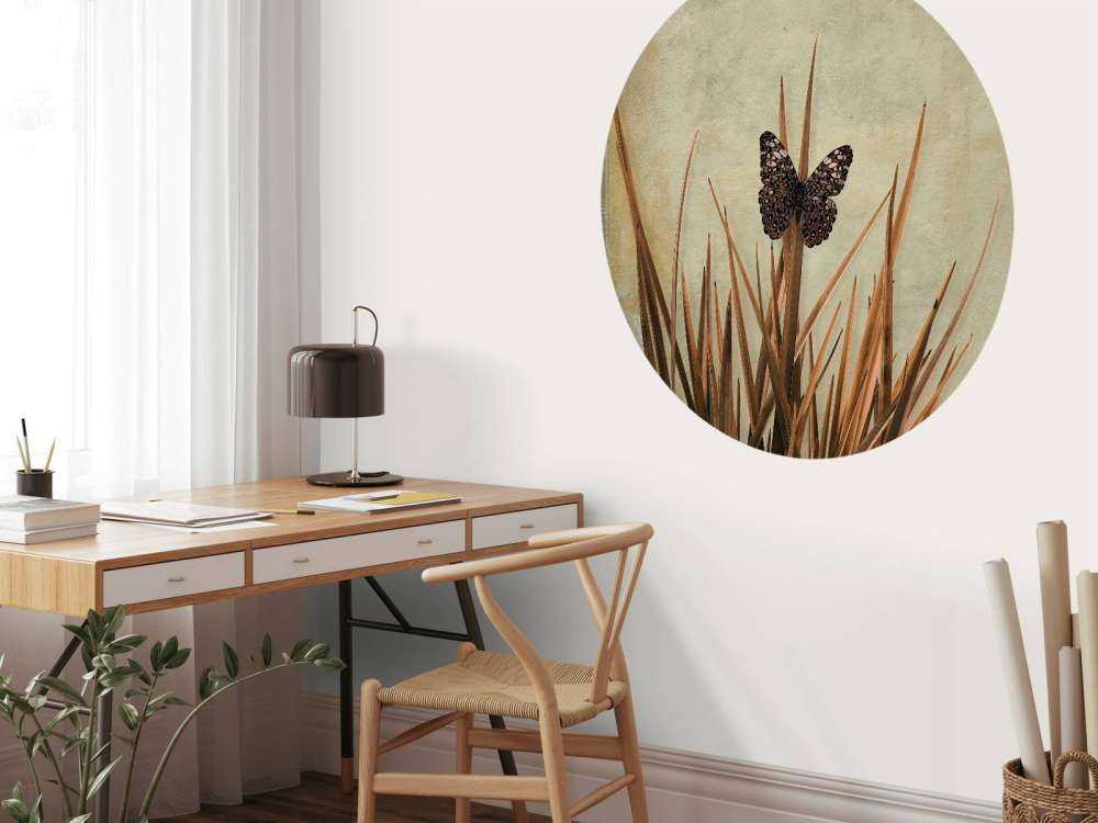 Butterfly near old wall