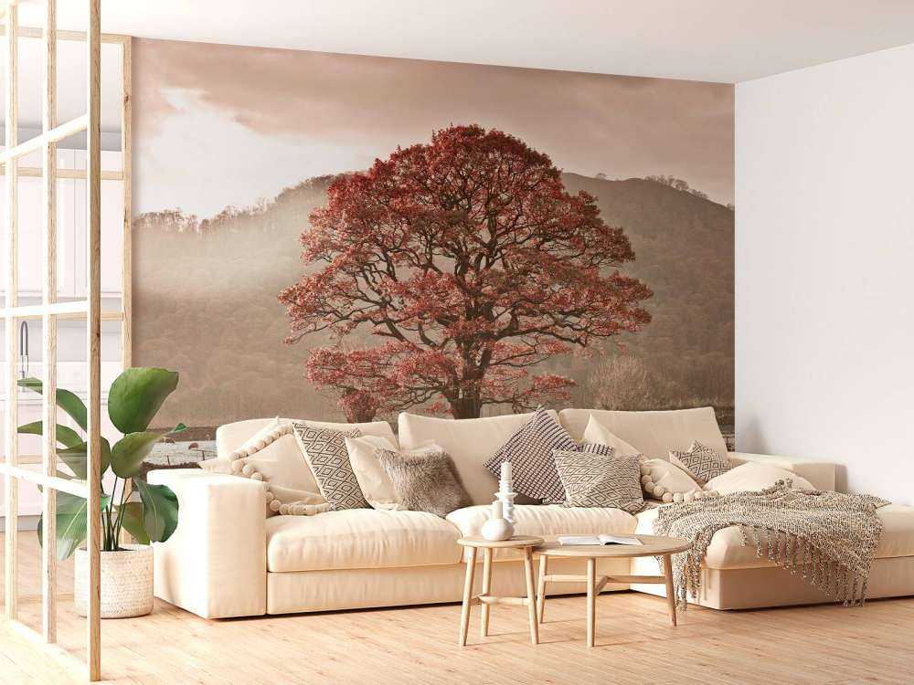 Oak tree in winter
