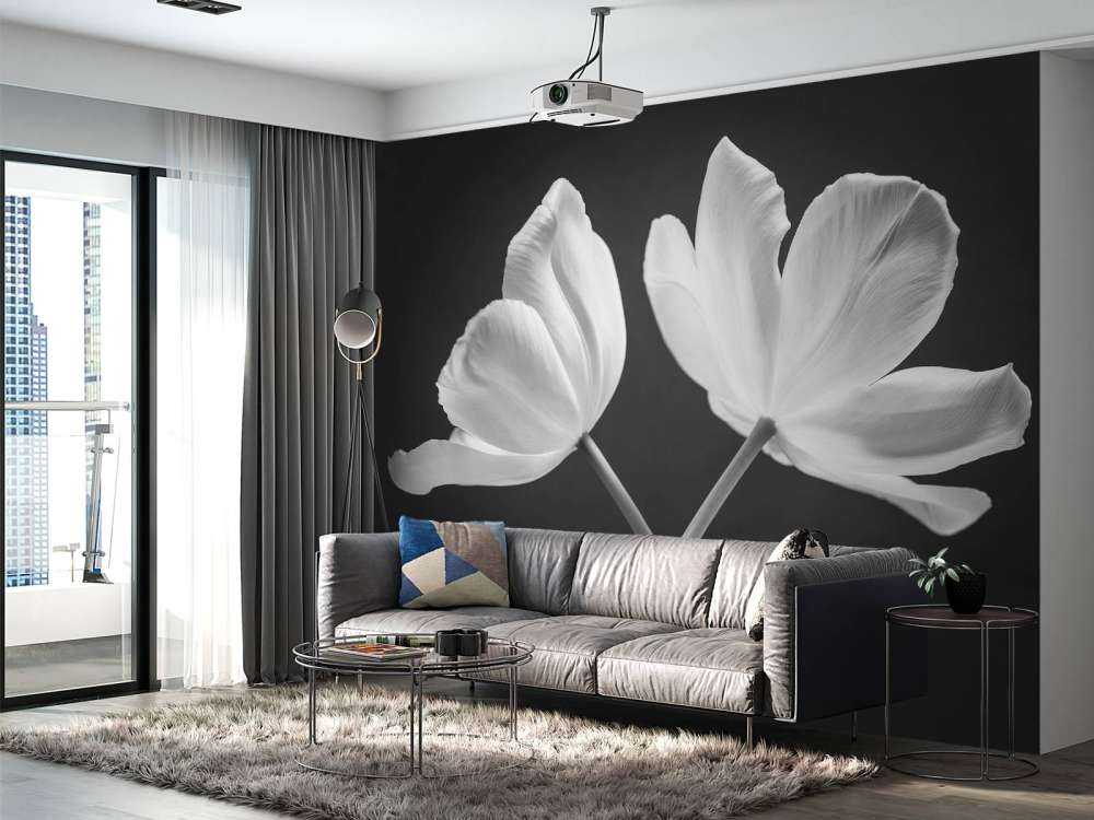 Crossed tulips