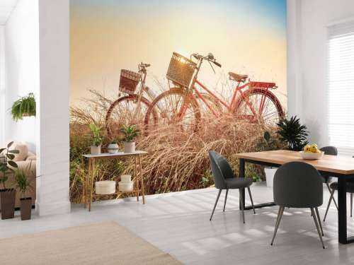 Vintage bikes