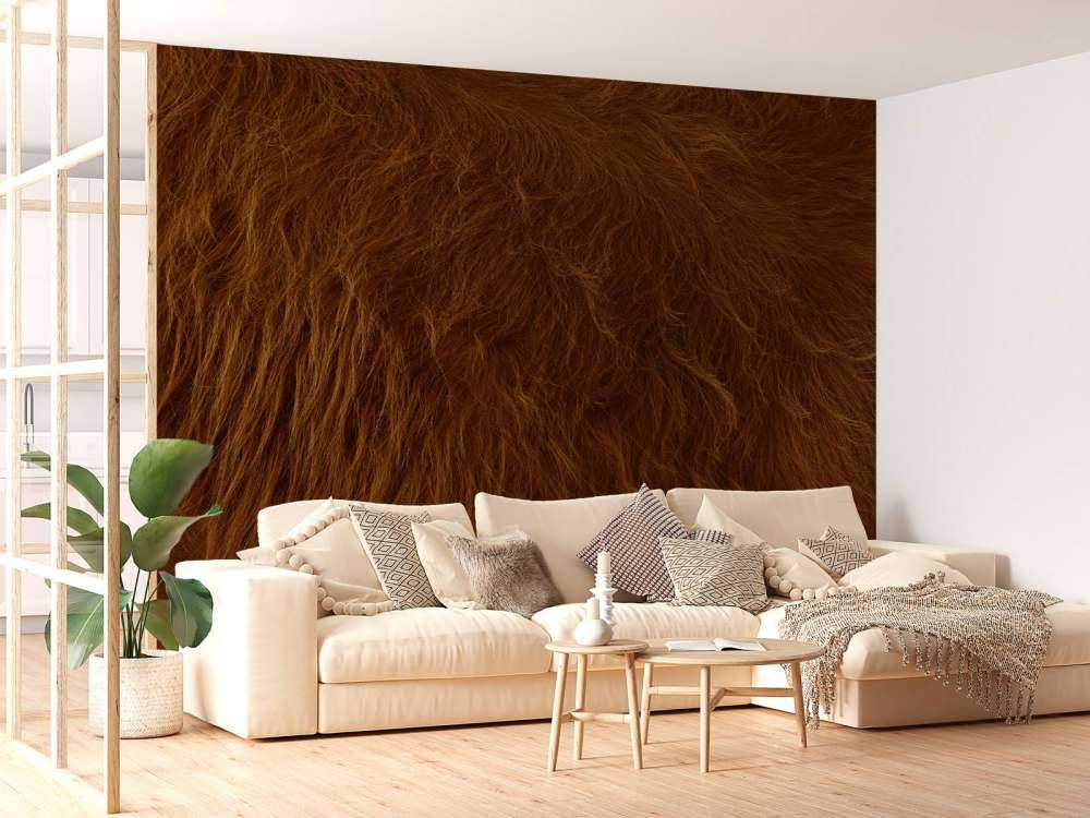 Scottish Highlander coat