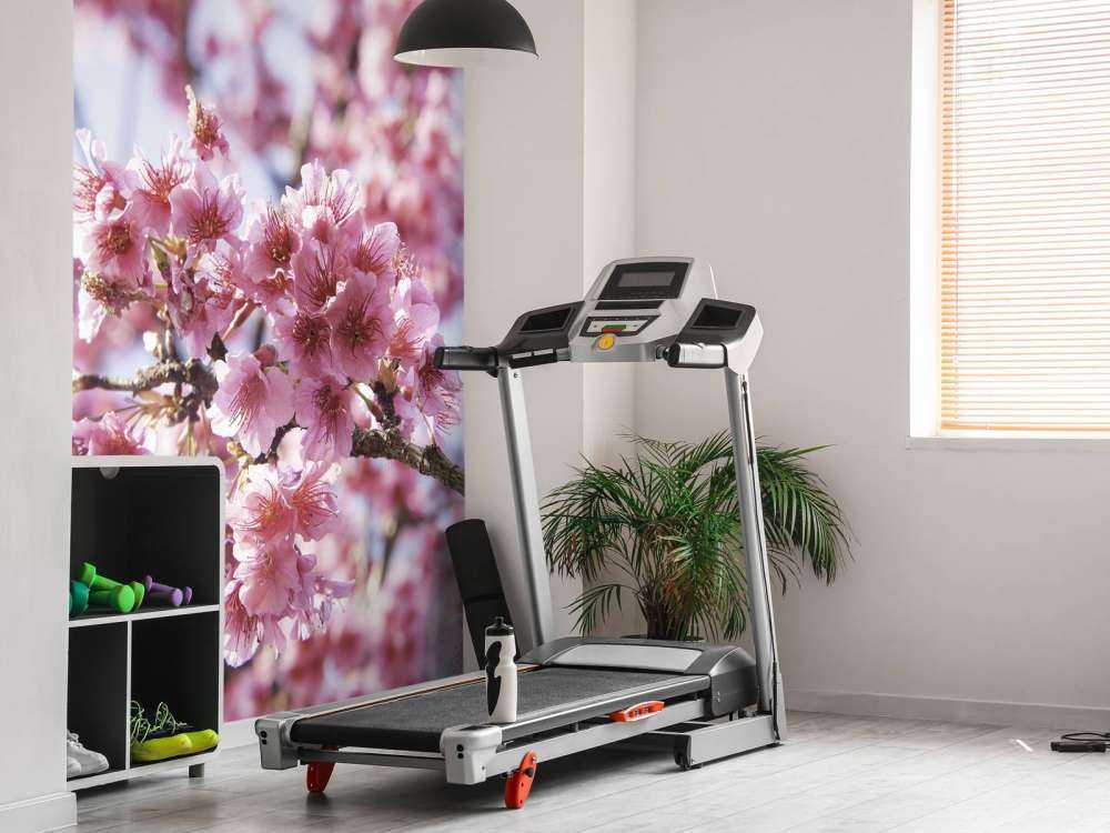 Close-up pink blossom