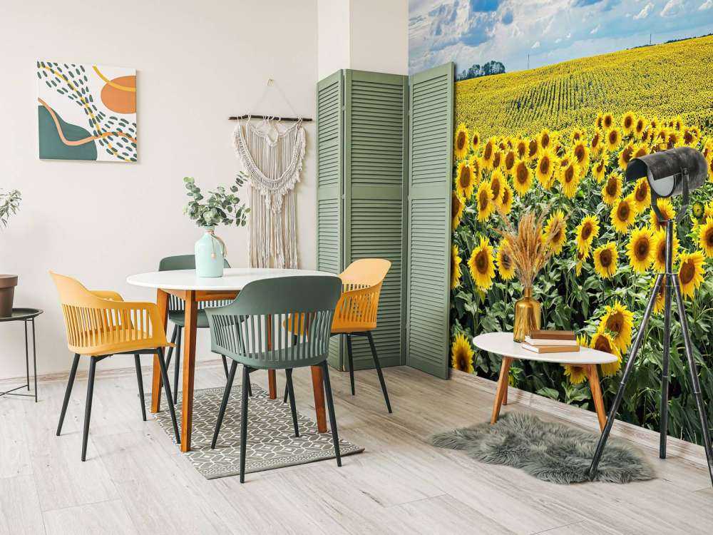 Meadow full of sunflowers