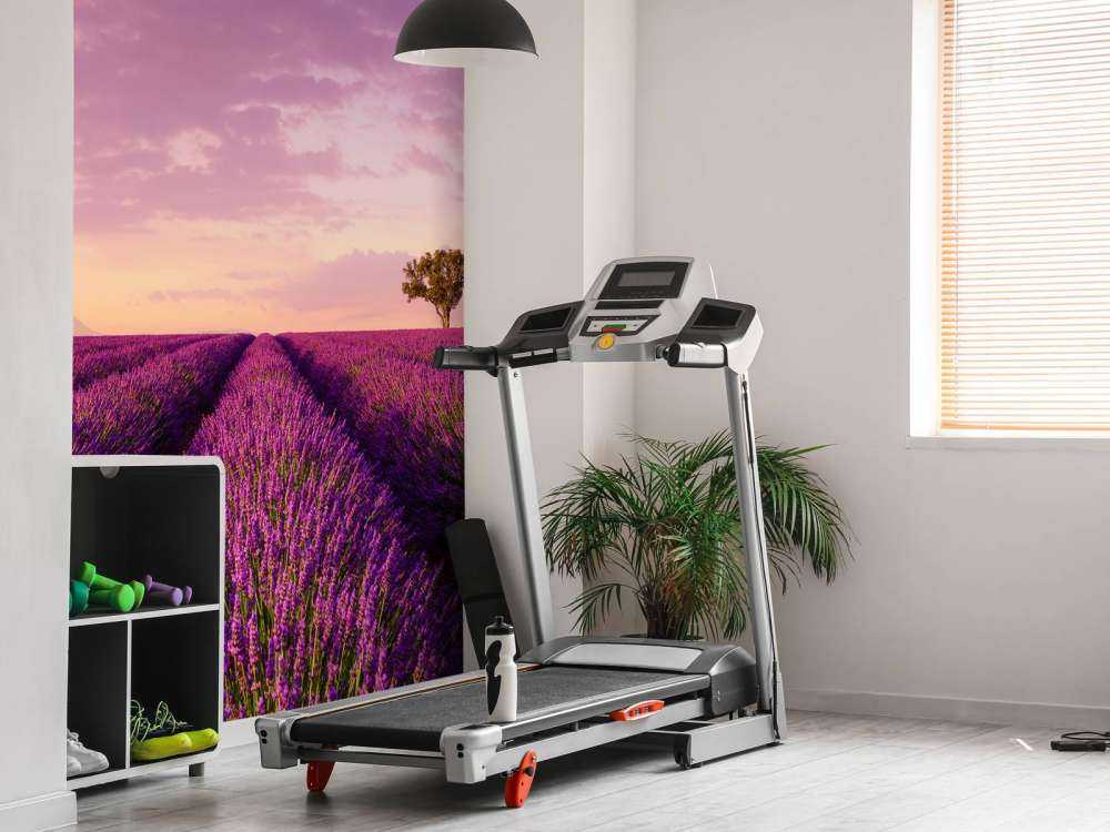 Lavender field and hot air balloon