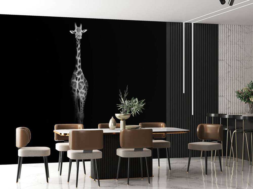 Giraffe black and white