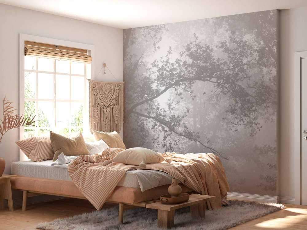 Beautiful forest in the fog